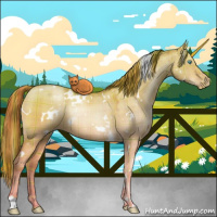 Horse Color:Plaid  White Spotted Buckskin Pearl Dun