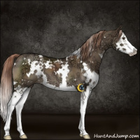Horse Color:White Spotted Liver Red Dun Ice Splash 