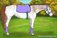 Horse Color:White Spotted Chestnut Appaloosa