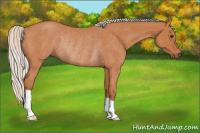 Horse Color:Silver Bay Roan Rabicano 