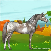 Horse Color:White Spotted Liver Red Dun Ice Mushroom 