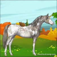 Horse Color:White Spotted Liver Red Dun Ice Mushroom Sabino