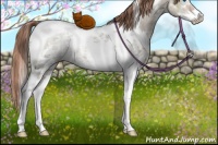 Horse Color:Liver Red Dun Ice Sabino Splash Tobiano Brindle