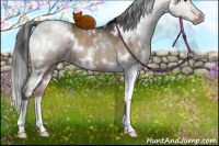 Horse Color:White Spotted Liver Red Dun Brindle