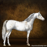 Horse Color:Gray Liver Red Dun Ice Pearl Mushroom Sabino Rabicano Brindle