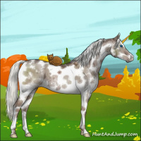 Horse Color:White Spotted Liver Red Dun Mushroom Splash Tobiano Brindle