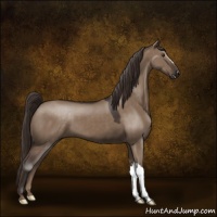 Horse Color:Liver Red Dun 