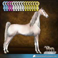 Horse Color:Gold Champagne Onyx Appaloosa Brindle 