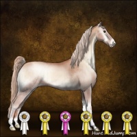 Horse Color:Gold Champagne Onyx Appaloosa Brindle