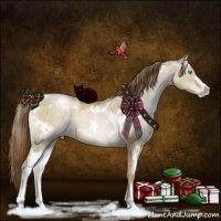 Horse Color:White Spotted Smoky Grullo Pearl Mushroom Sabino Brindle