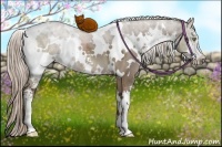 Horse Color:White Spotted Liver Red Dun Sabino 