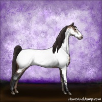 Horse Color:Bay Dun Frame Near Fewspot 