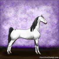 Horse Color:White Spotted Brown Dun Sabino Fewspot Brindle 