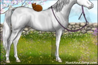 Horse Color:Gray Silver Brown Dun Sabino Splash Tobiano Brindle