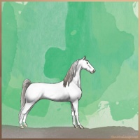 Horse Color:Chocolate Palomino Dun Sabino Appaloosa Brindle 