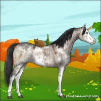Horse Color:Brown Ice Dun Mushroom Sabino Brindle