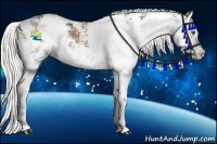 Horse Color:Liver Red Dun Sabino Splash 