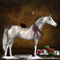 Horse Color:White Spotted Liver Red Dun Ice Mushroom Sabino Splash Rabicano Brindle 