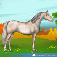 Horse Color:White Spotted Chocolate Palomino Pearl Dun Brindle
