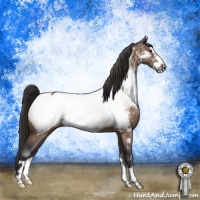 Horse Color:Brown Dun Frame Near Fewspot 