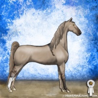 Horse Color:Liver Red Dun 