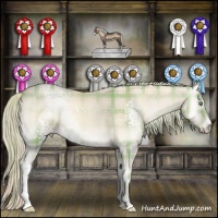 Horse Color:Plaid  White Spotted Cremello Onyx Rabicano 