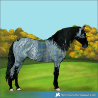 Horse Color:ERROR: UNKNOWN ANOMALY