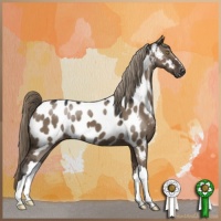 Horse Color:Liver Red Dun Appaloosa 