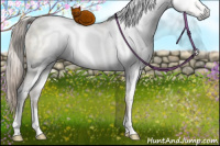 Horse Color:Gray White Spotted Chocolate Palomino Pearl Dun Mushroom Brindle 