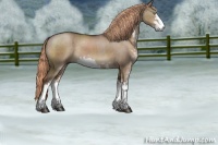 Horse Color:Liver Red Dun Sabino Rabicano 