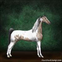Horse Color:Brown Dun Tobiano Blanket Brindle 