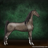 Horse Color:Smoky Grullo Brindle 