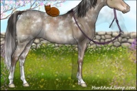 Horse Color:White Spotted Liver Red Dun Ice 