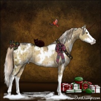 Horse Color:White Spotted Chocolate Palomino Dun Splash Brindle