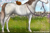 Horse Color:Chocolate Buckskin Ice Pearl Dun Sabino Rabicano 