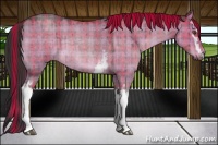 Horse Color:Plaid  White Spotted Liver Red Dun Roan Brindle 