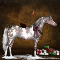Horse Color:White Spotted Silver Grullo Chinchilla Rabicano Brindle 