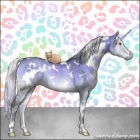 Horse Color:White Spotted Silver Grullo Chinchilla Onyx Rabicano