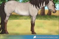 Horse Color:White Spotted Liver Red Dun Roan