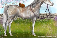 Horse Color:White Spotted Silver Brown Dun Sabino Splash 