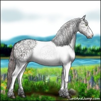 Horse Color:Platinum White Spotted Chocolate Palomino