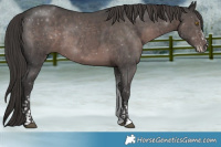 Horse Color:Platinum Liver Chestnut Sabino Tobiano 