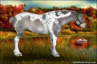 Horse Color:Platinum Chocolate Palomino Tobiano 