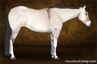 Horse Color:Bay Roan Onyx Tobiano 