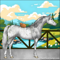 Horse Color:White Spotted Silver Grullo Chinchilla Ice Onyx Brindle 