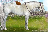 Horse Color:White Spotted Chocolate Silver Smoky Grullo Chinchilla Ice Onyx Brindle 