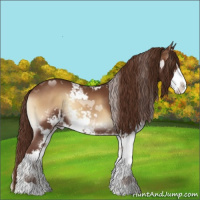 Horse Color:Red Onyx Sabino 