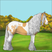 Horse Color:Silver Buckskin Sabino Splash Tobiano Appaloosa 