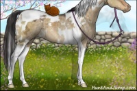 Horse Color:White Spotted Buckskin Ice Dun Tobiano 