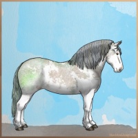 Horse Color:Painted Liver Red Dun Ice Sabino Splash 